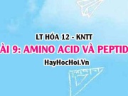 Tính chất hóa học, vật lí của Amino acid và Peptide, khái...